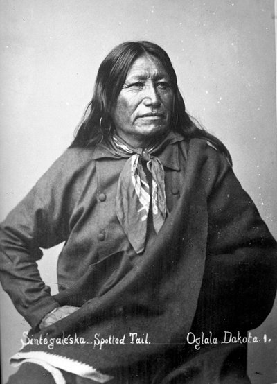 Sintegaleska, Spotted Tail, Oglala Dakota I, 1880er von David Frances Barry